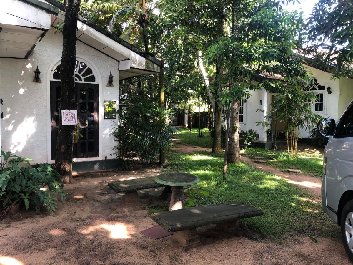 Sylvester Villa Hostel Негомбо Экстерьер фото